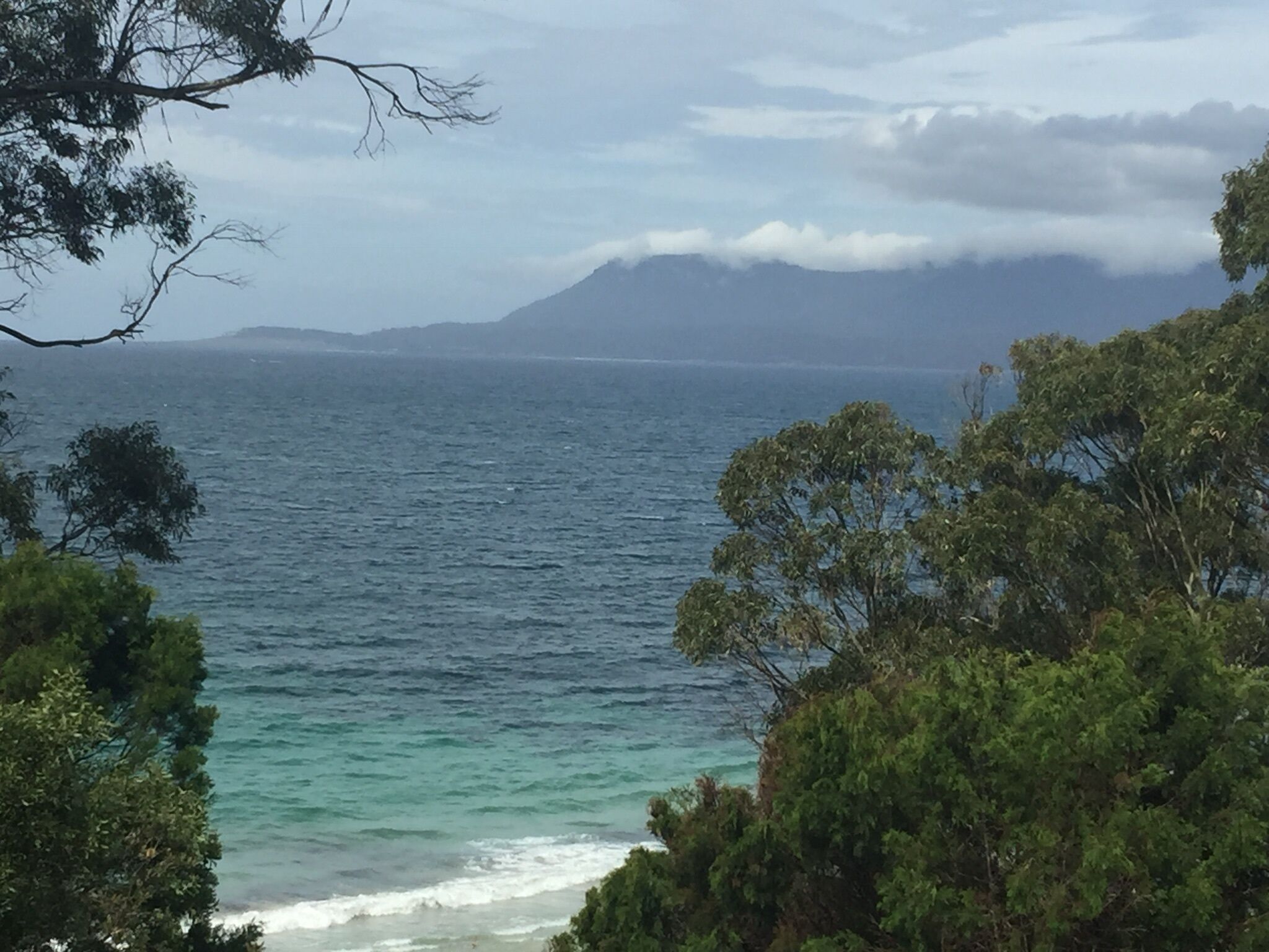Close to the Beach. Gateway to Maria Island. — image 23
