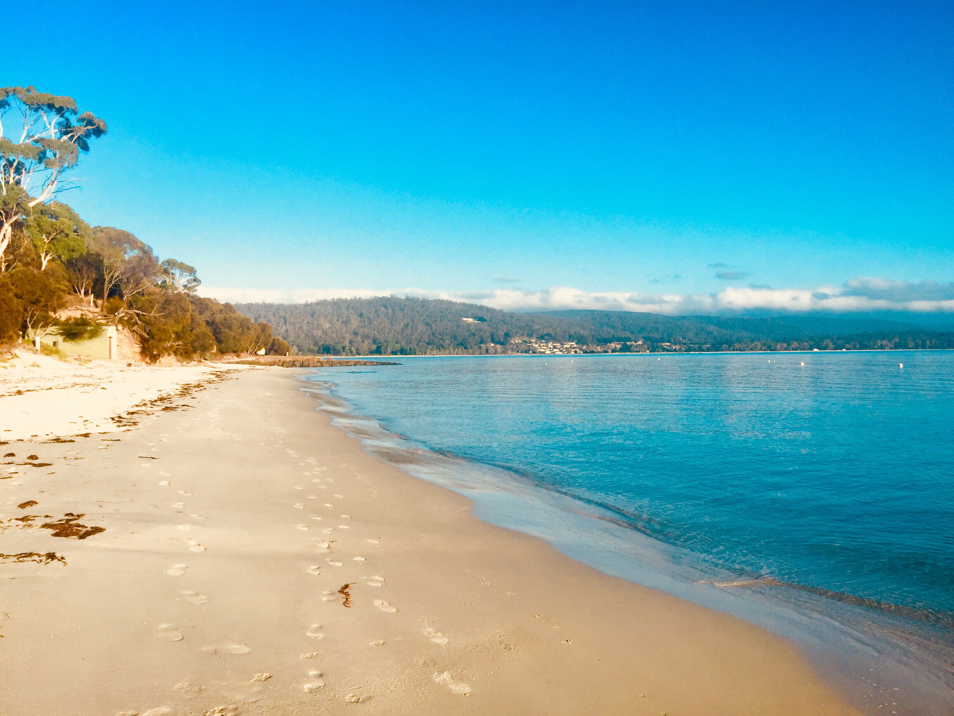 Close to the Beach. Gateway to Maria Island. — image 26