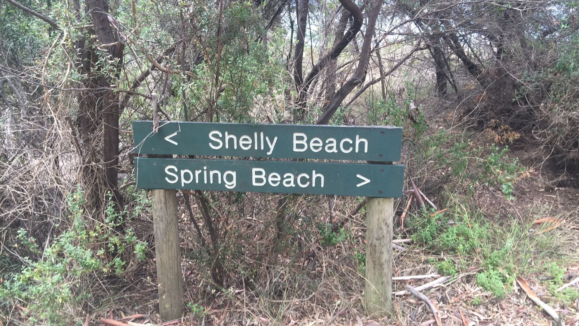 Close to the Beach. Gateway to Maria Island. — image 24