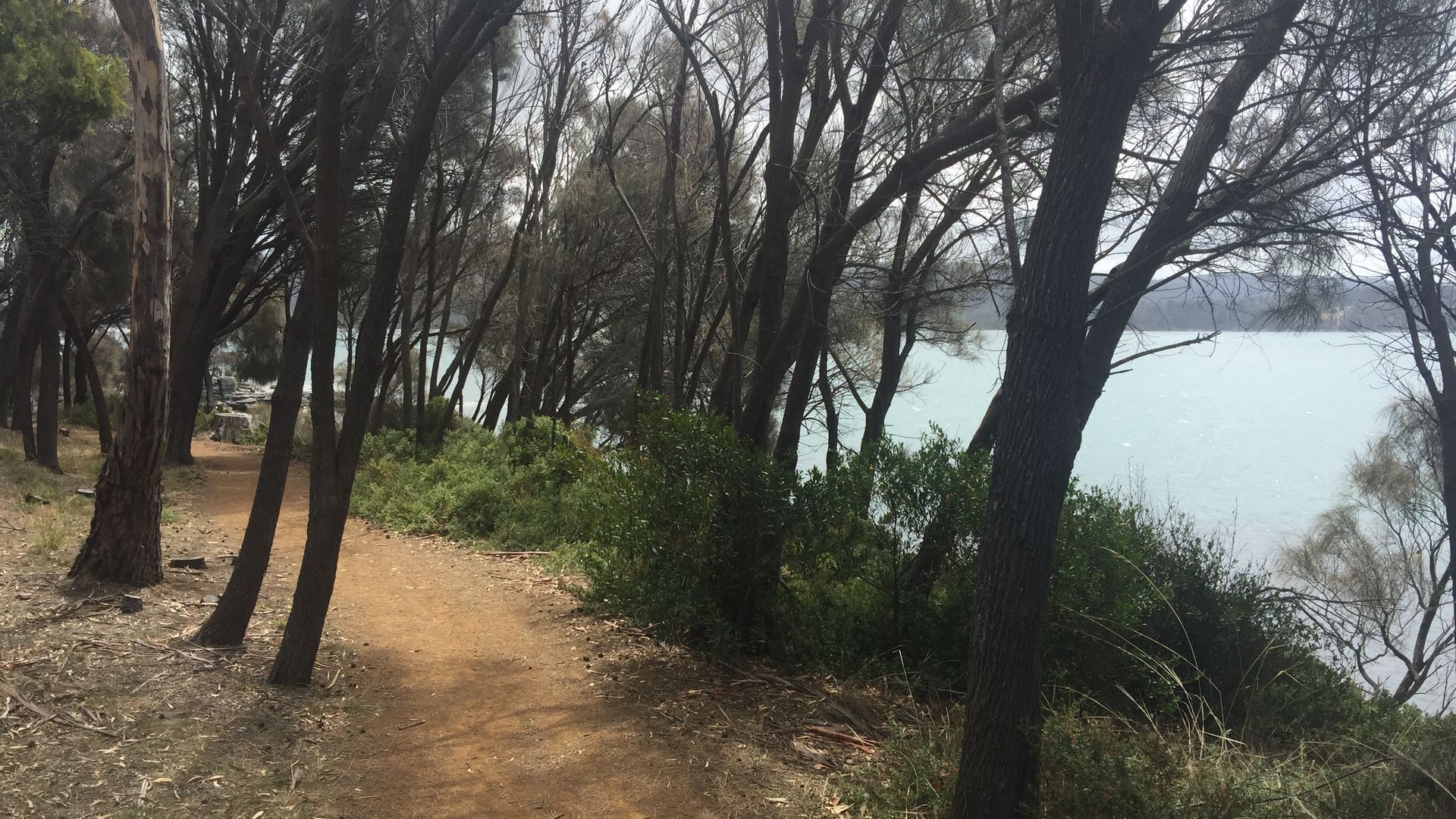Close to the Beach. Gateway to Maria Island. — image 25