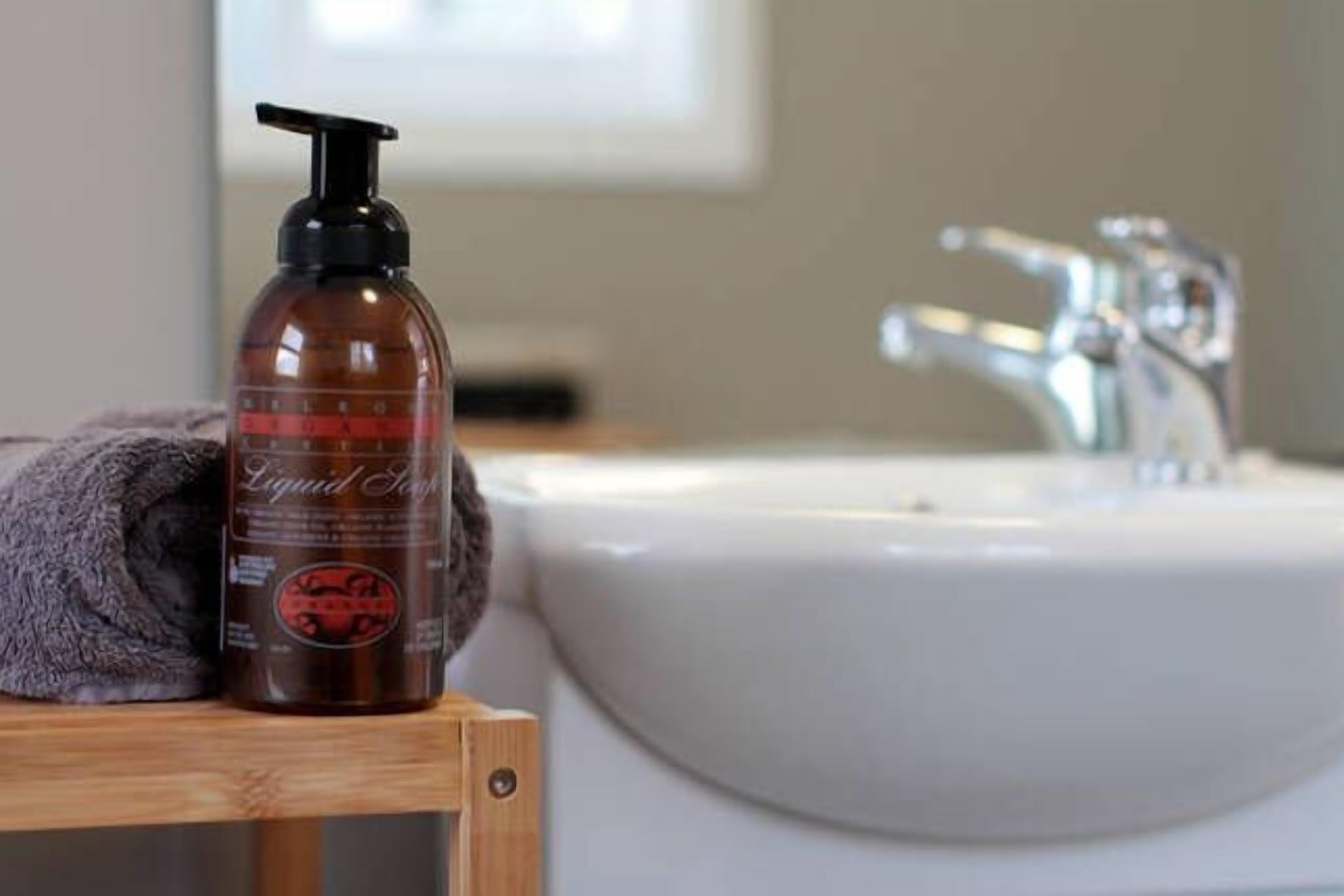 The Cabin-Wake up to the sound of native birdlife. — image 5