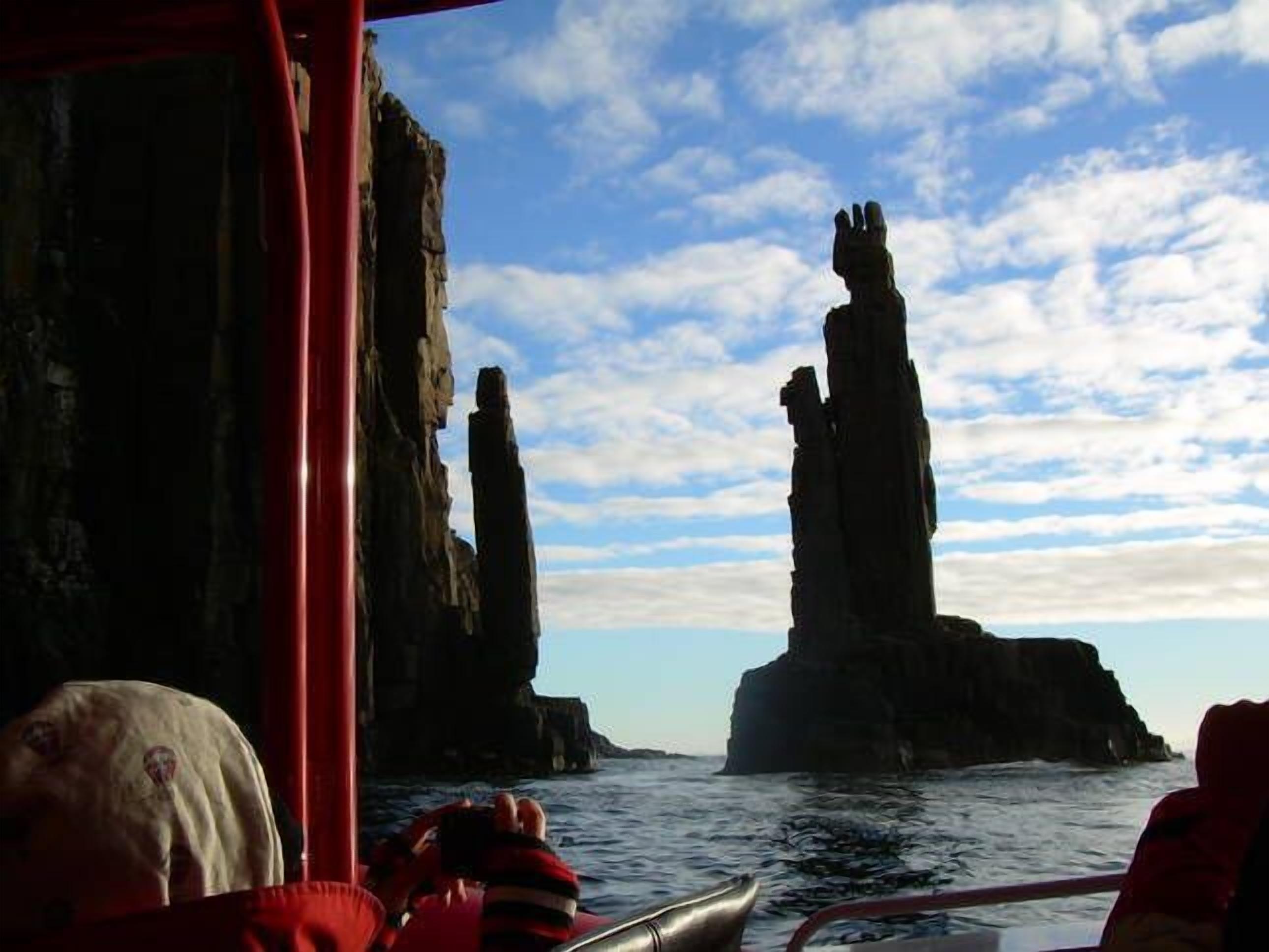 The Cabin-Wake up to the sound of native birdlife. — image 16