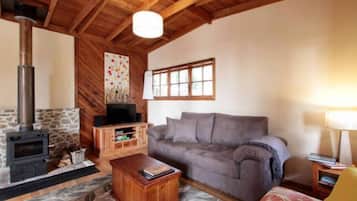 Televisión, chimenea, reproductor de DVD y libros