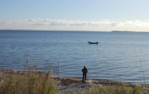 Beach nearby - Pet friendly home in Hejls with WiFi (Hejls)