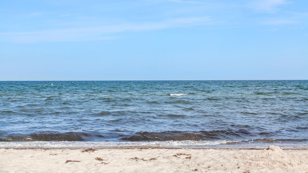 A beach with waves and a clear sky. - Pet friendly home in Væggerløse with WiFi (Væggerløse)