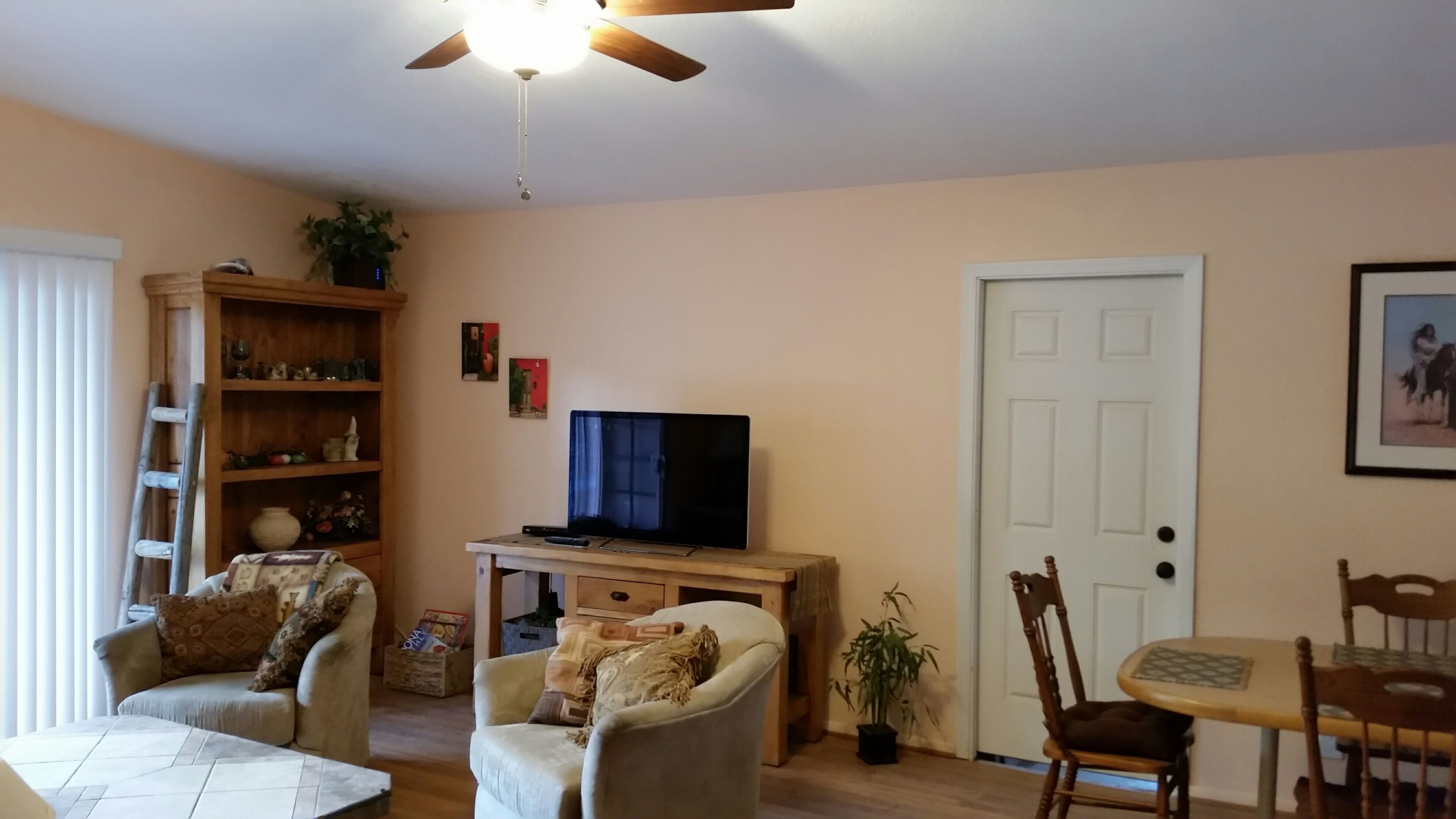 A living room with a television, a bookshelf, a dining table with chairs, and a door.
