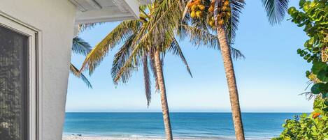 A balcony with two chairs, a palm tree, and a view of the beach and ocean.