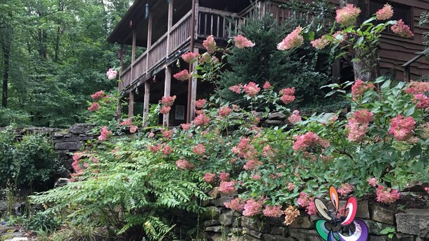 Una cabaña rústica con terraza de madera y arbustos de flores rosadas.