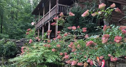 Treetop is a private and tranquil cabin retreat minutes from Cataloochee