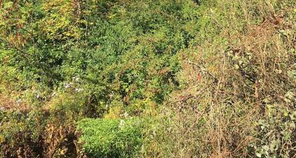 Nykyaikainen Alppien asuminen viehättävässä maalaistalossa