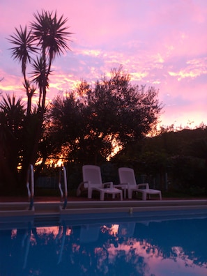 A pool with lounge chairs and palm trees against a sunset sky. - La Tipasa (Tateyama)