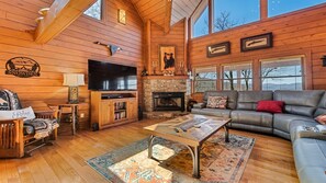 Smart TV, chimenea, reproductor de DVD, libros