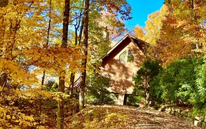 Escape to a secluded cabin nestled among the trees, where a stone pathway leads to a cozy retreat.