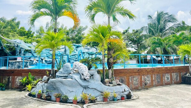 A tropical garden with palm trees, a rock formation, and a pool area.