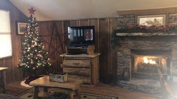 TV, fireplace, DVD player
