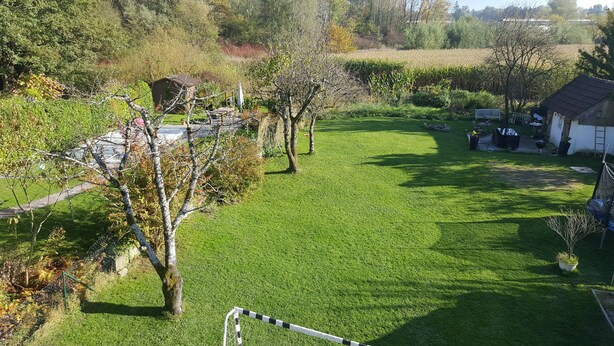 Ein gepflegter Rasen mit einem kleinen Gartenhaus, einem Baum und einem Gartenbereich.