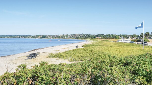 A beach with a bench, a flag, and a row of RVs.
