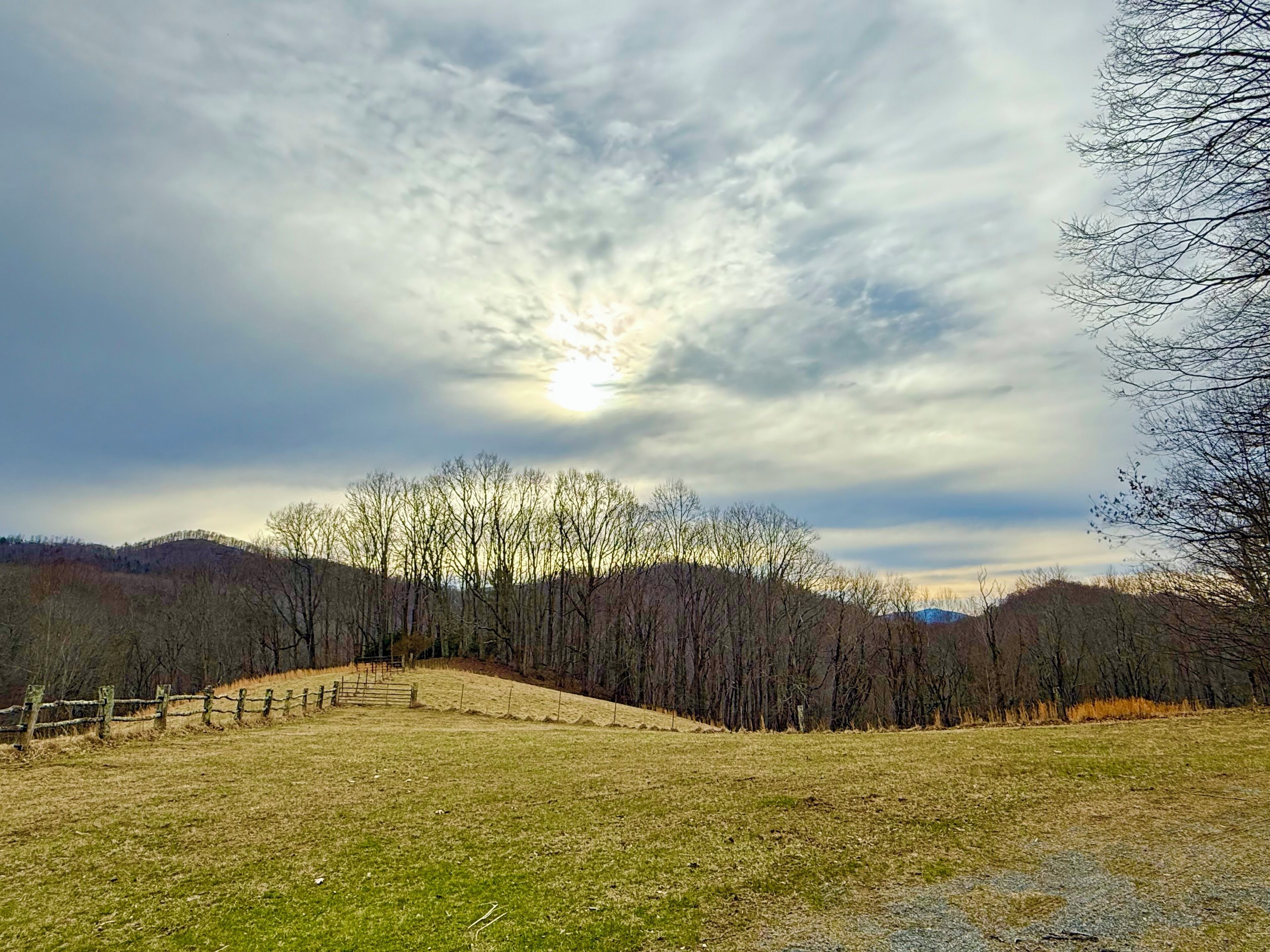 Un paysage rural avec un champ d’herbe, une clôture en bois et des arbres sans feuilles sous un ciel nuageux.