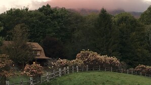 Un chalet rustique entouré d’une végétation luxuriante et délimité par une clôture en bois.