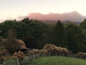 Terrain de l’hébergement 
