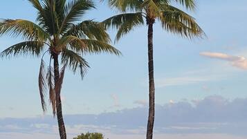 On the beach, sun-loungers, beach towels