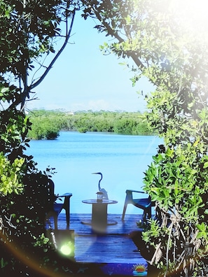 A wooden deck with two chairs and a table, overlooking a calm body of water with dense greenery in the background. - Key Largo Ocean Retreat !! (Key Largo)