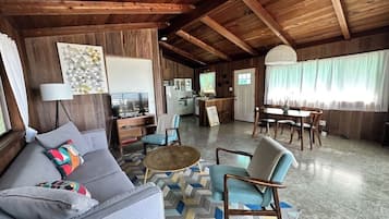 Smart TV, fireplace, video games, DVD player
