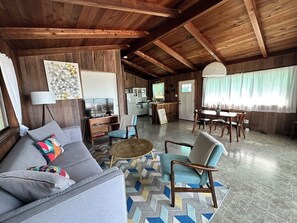 Smart TV, fireplace, video games, DVD player