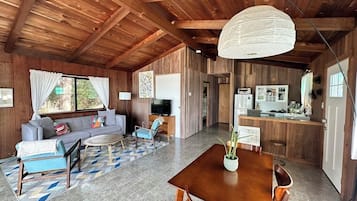 Smart TV, fireplace, video games, DVD player