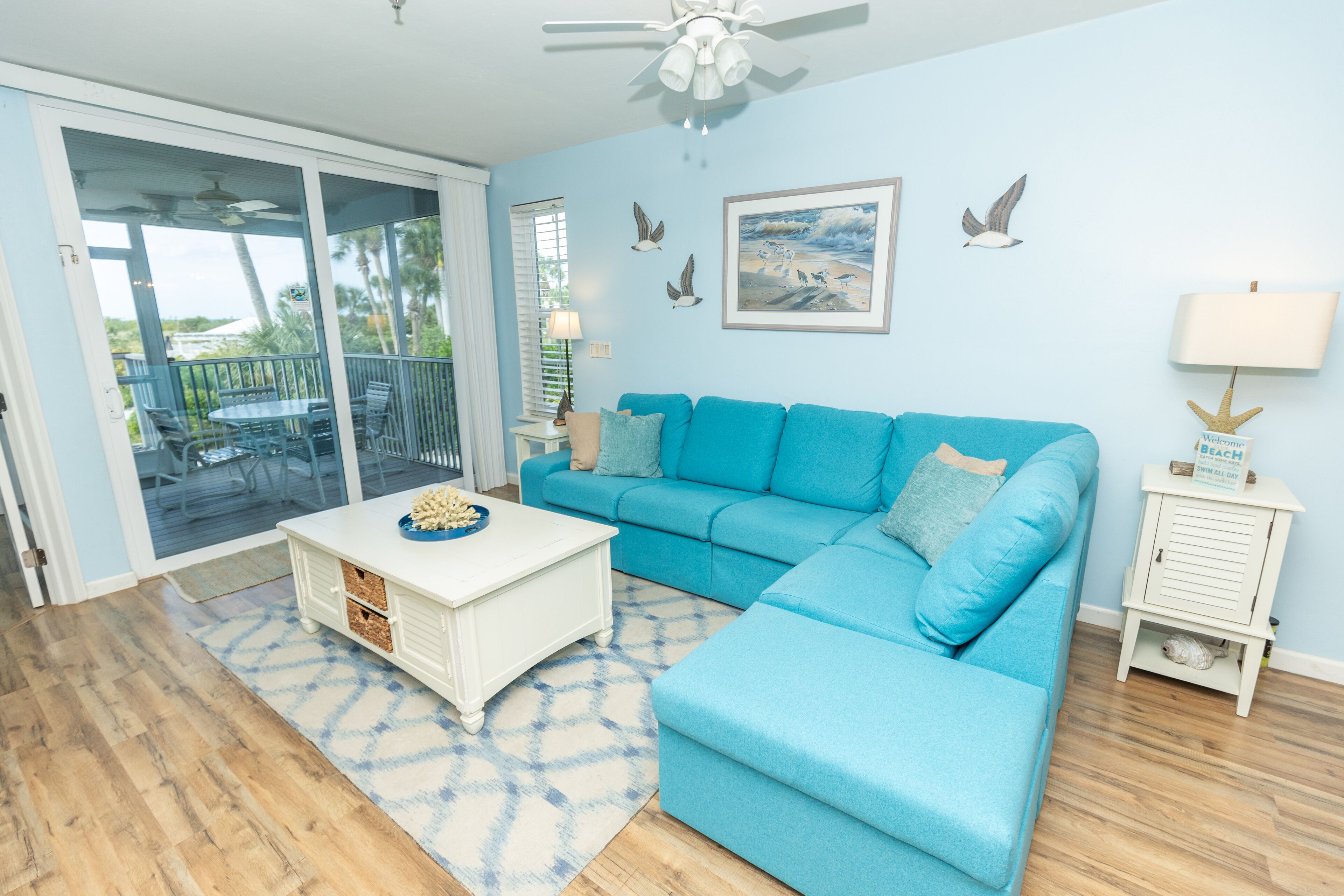 تلفزيون، مشغل دي في دي