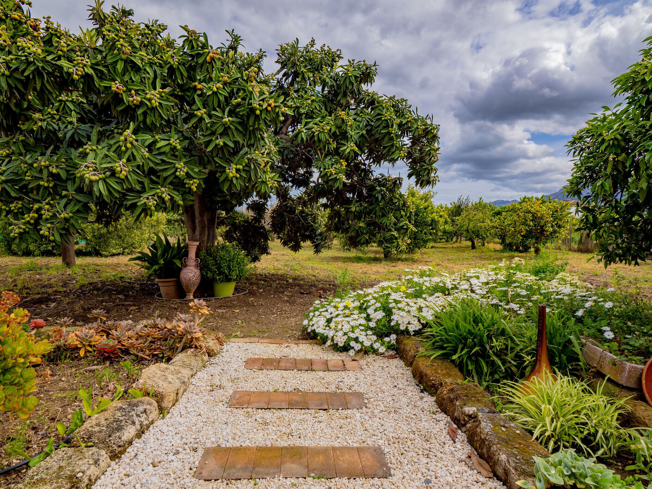 Área da propriedade