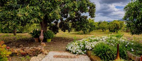 Área da propriedade