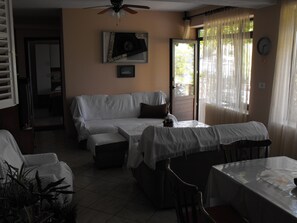 Televisie, videospelletjes, een dvd-speler en boeken