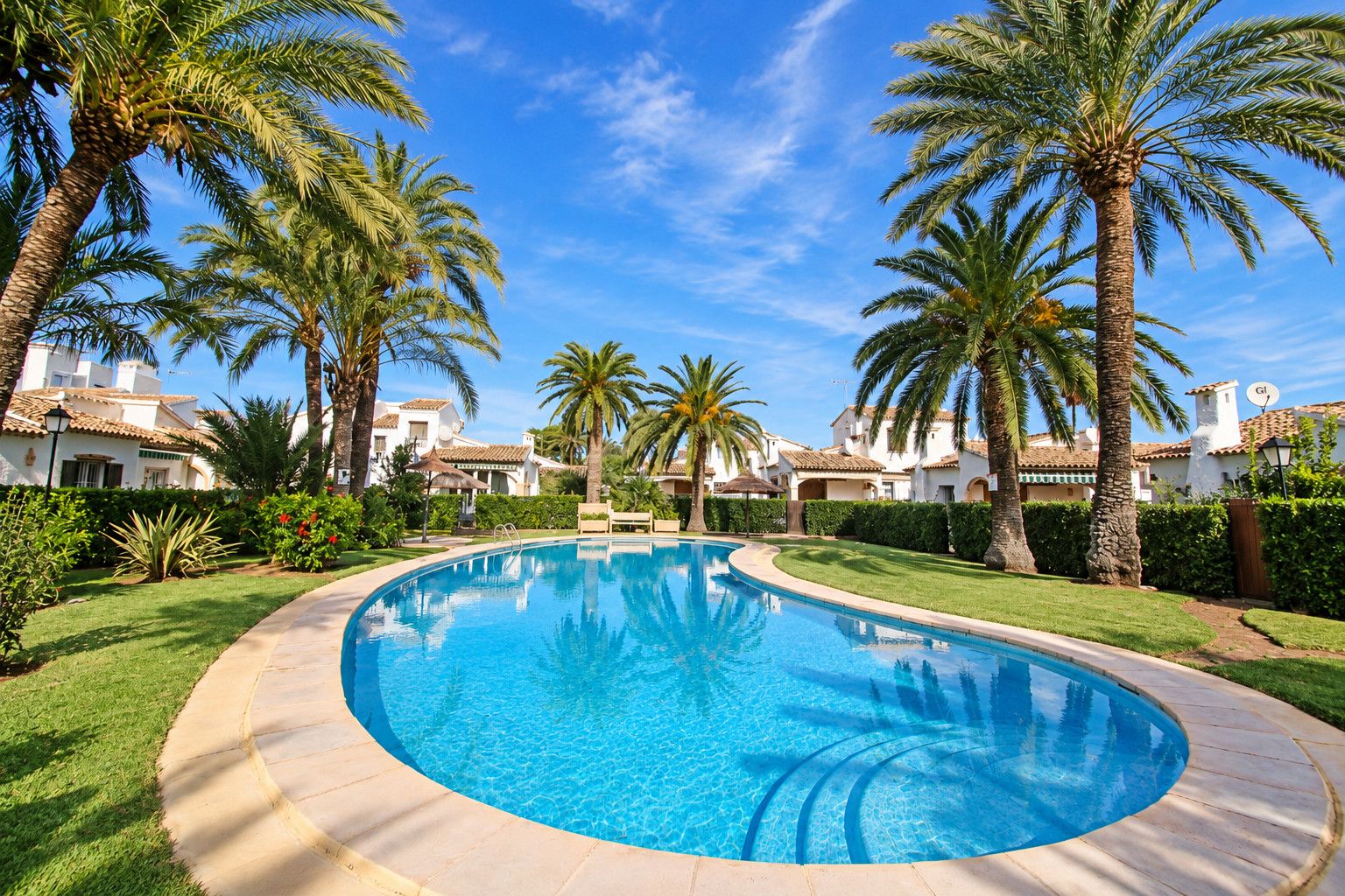 A swimming pool surrounded by palm trees and white buildings with red-tiled roofs.