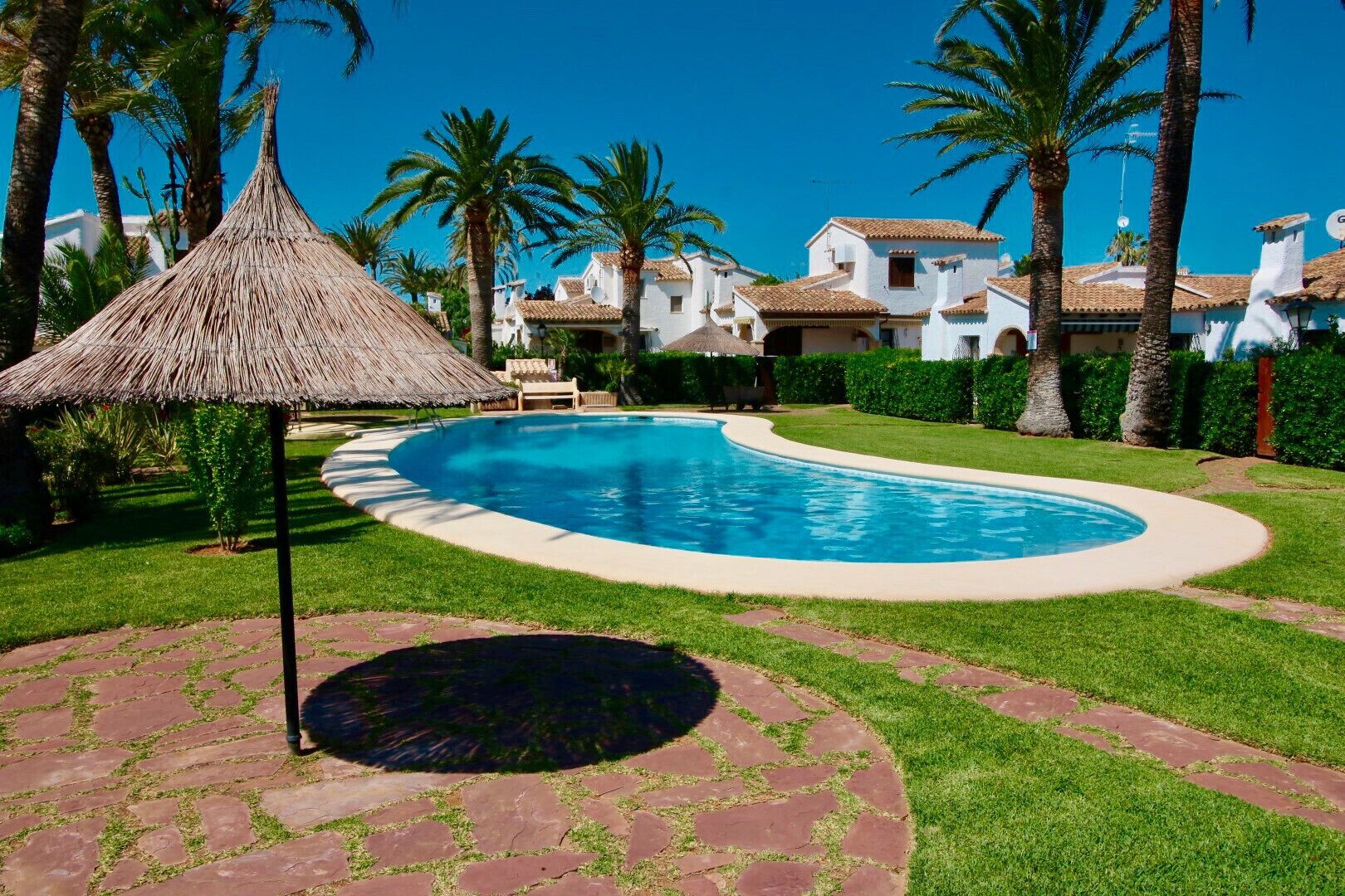 A swimming pool with a thatched umbrella, surrounded by well-maintained grass and palm trees.