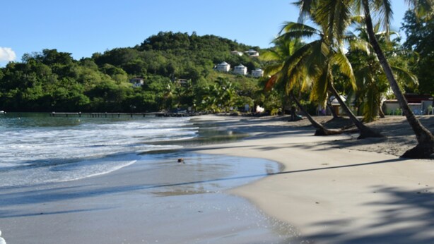 A beach with clear waters, palm trees, and houses on a hill in the background. - Your studio in the Tropics of Martinique. 5 minutes walk from the beach! (Les Trois-Îlets)