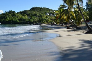 A beach with clear waters, palm trees, and houses on a hill in the background. - Your studio in the Tropics of Martinique. 5 minutes walk from the beach! (Les Trois-Îlets)