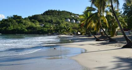 Your studio in the Tropics of Martinique. 5 minutes walk from the beach!