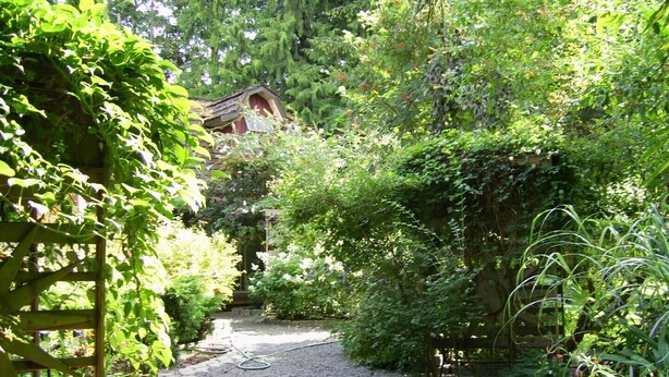En havegang der fører til en rustik bygning med skråt tag, omgivet af frodig vegetation og mange planter.