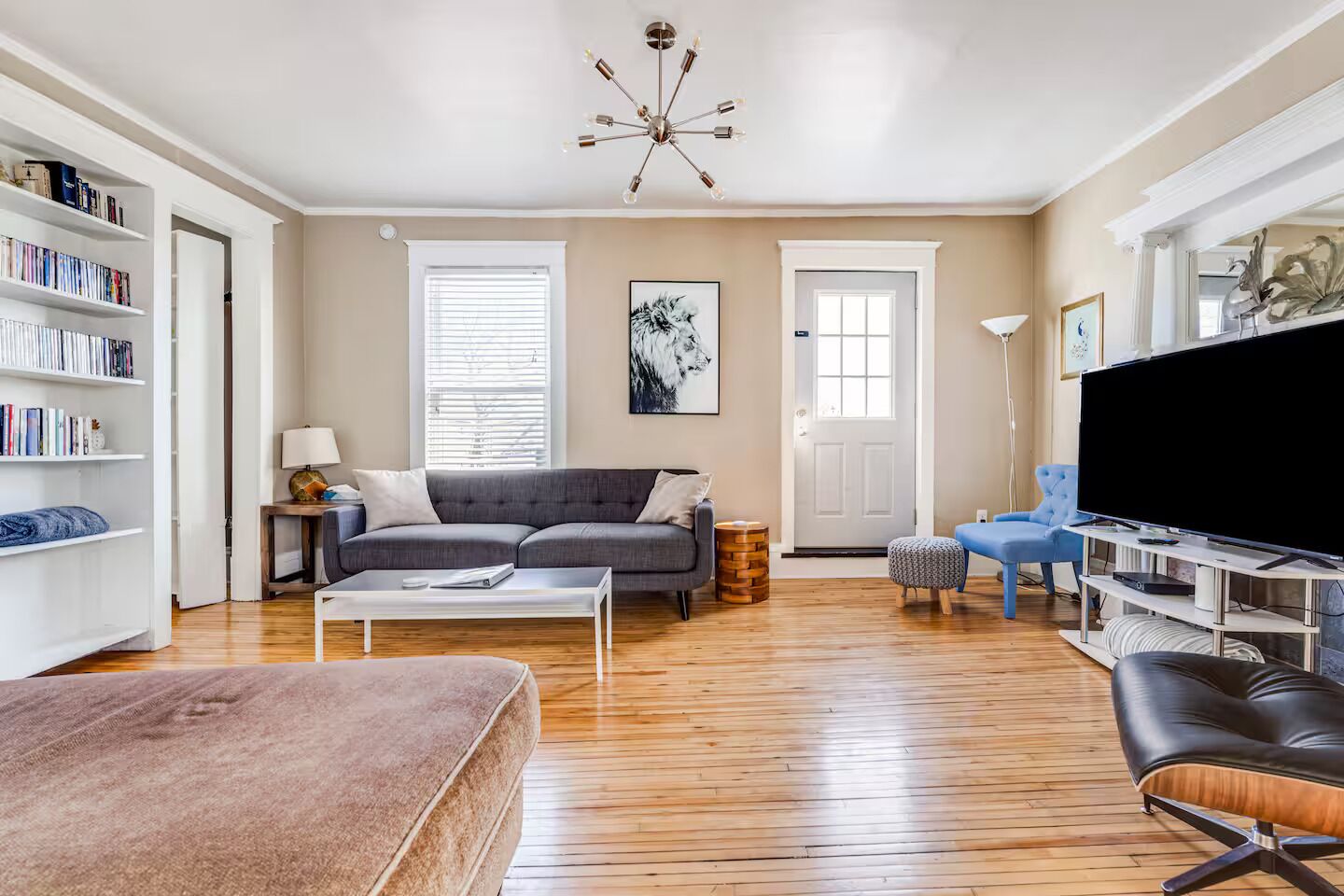 Smart TV, fireplace, DVD player, books