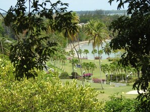 Property grounds - Casa La Mancha - your own private villa with infinity-edge swimming pool (Mount Irvine)