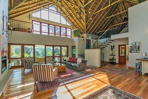 TV connectée, cheminée, livres, chaîne hi-fi