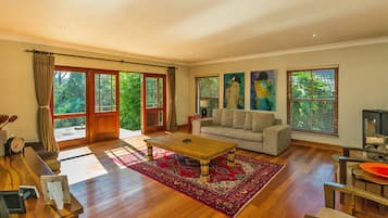 TV connectée, cheminée, livres, chaîne hi-fi