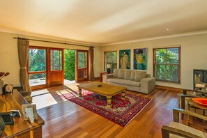 TV connectée, cheminée, livres, chaîne hi-fi