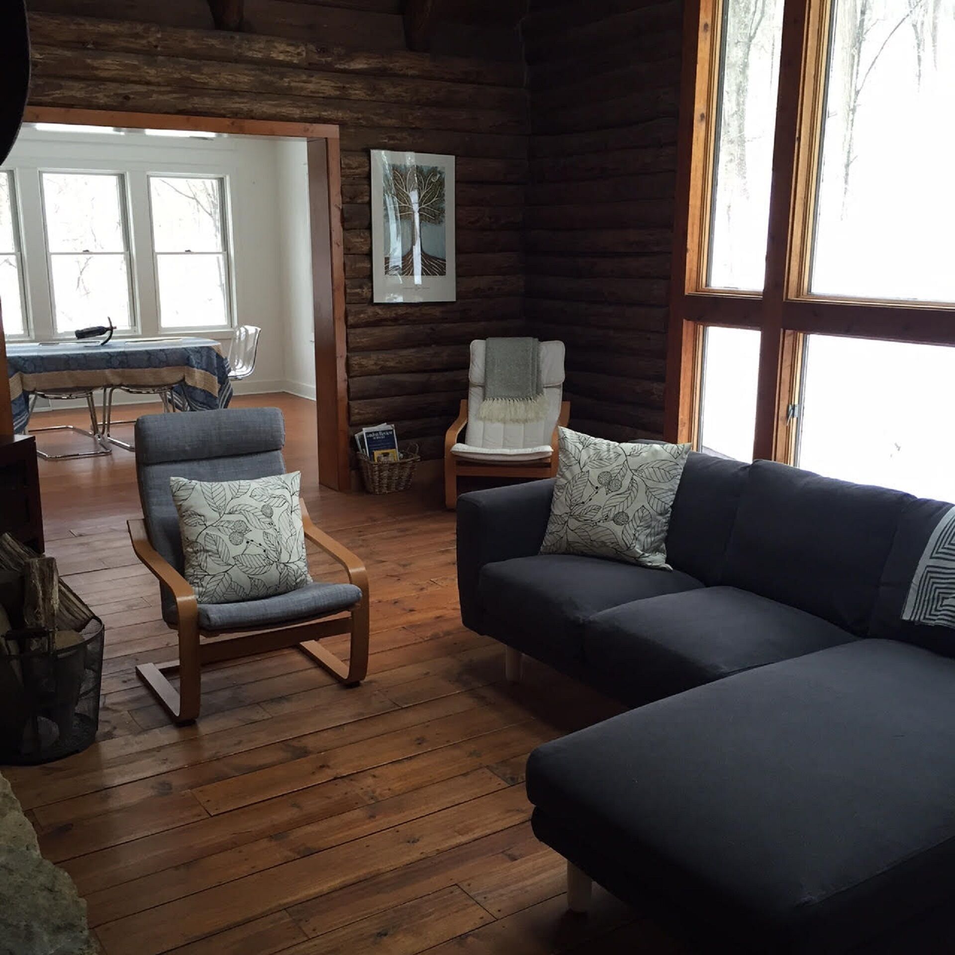 Smart TV, fireplace, DVD player, books