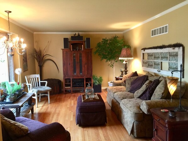 Televisión, chimenea, reproductor de DVD y estéreo 