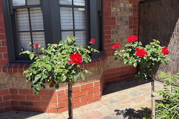 Stunning front of home - comfort and style in our getaway home in North Adelaide