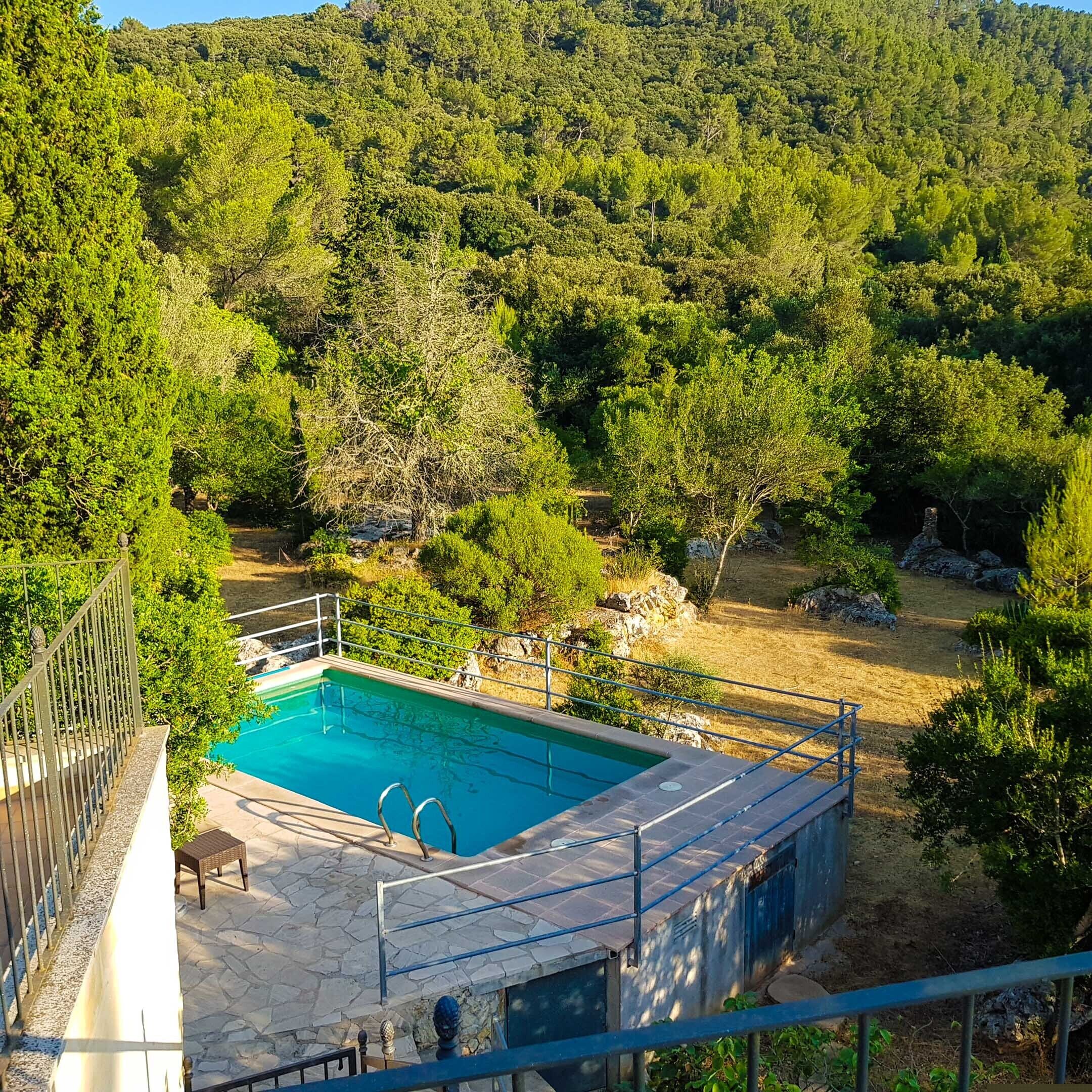 A swimming pool surrounded by trees and a stone deck.
