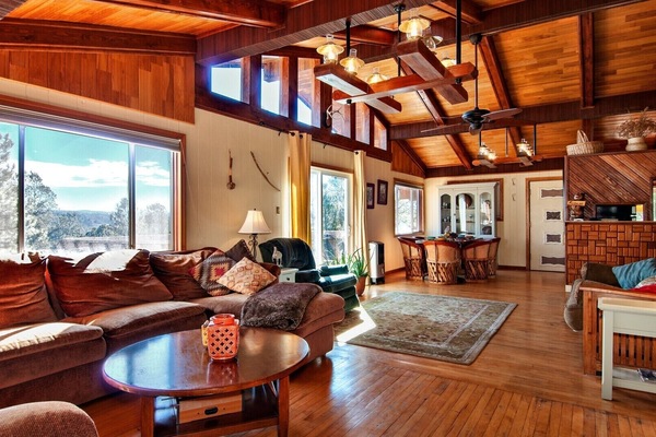 Télévision à écran plat, cheminée, lecteur de DVD, livres