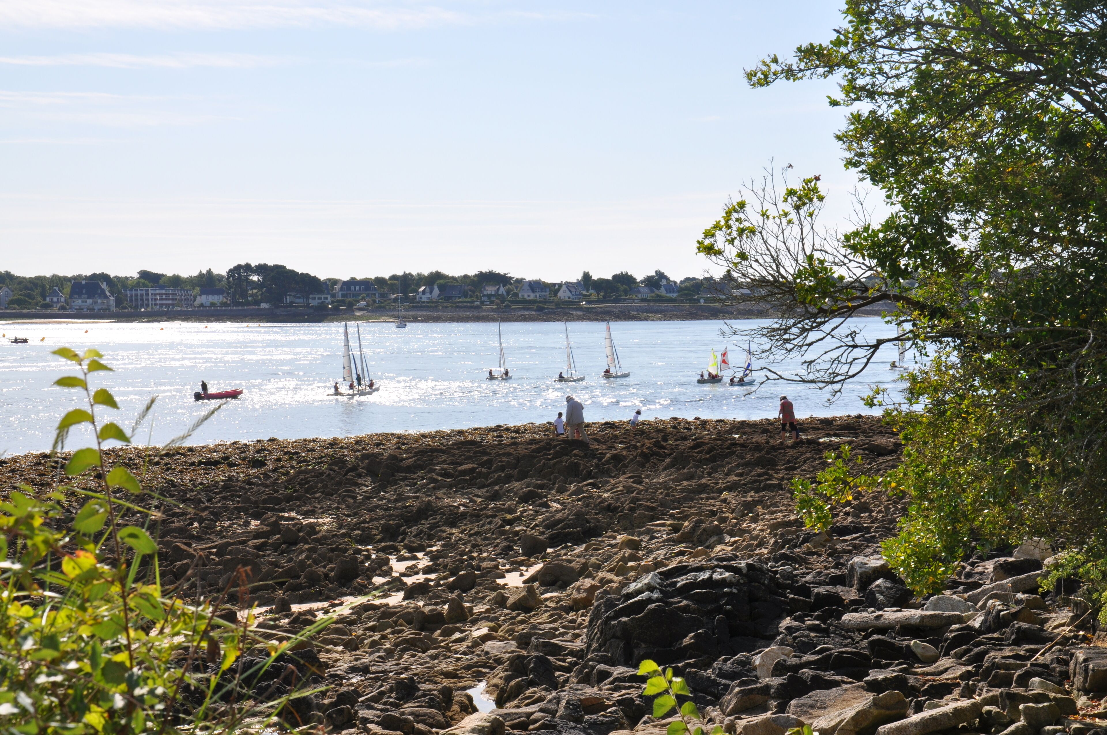 A rocky beach with boats on the water and houses in the background.